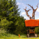 BoomBoom træhus i en grøn skov med moderne design og orange detaljer, omgivet af frodige træer.
