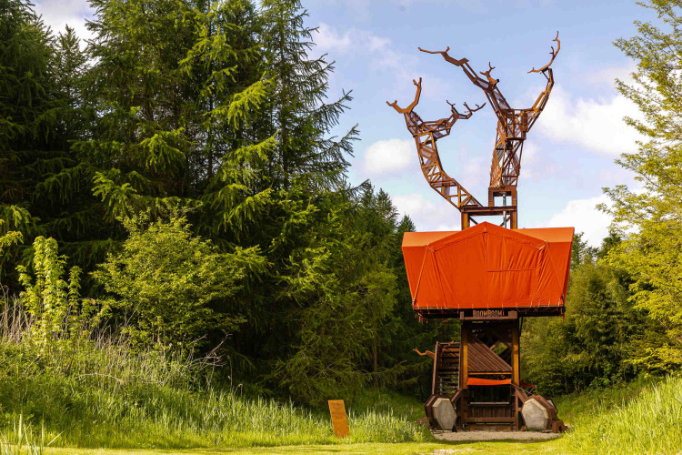 Casa del árbol BoomBoom con elementos naranjas y diseño moderno, ubicada en un bosque frondoso y verde.
