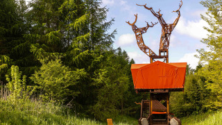 Casa del árbol BoomBoom con elementos naranjas y diseño moderno, ubicada en un bosque frondoso y verde.