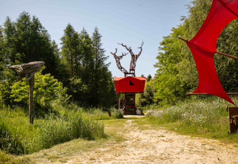 Casa del árbol BoomBoom con detalles rojos rodeada de naturaleza en Netl Camping Kallumaan, Países Bajos.
