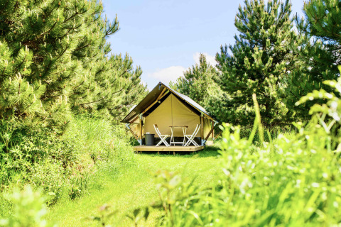 Safaritent Lodge Mokki - UFO bij Netl Camping Kallumaan in Nederland, omgeven door groene bomen.