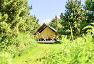 Safaritent Lodge Mokki - UFO bij Netl Camping Kallumaan in Nederland, omgeven door groene bomen.