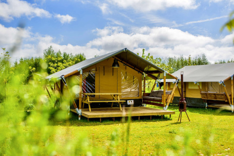 Et solrigt billede af moderne safaritelte med træterrasse på en grøn campingplads under blå himmel.