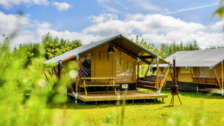 Tente safari moderne avec terrasse en bois par beau temps, sur un terrain de camping verdoyant et ensoleillé.