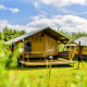 Soleada escena de glamping con tiendas tipo safari modernas y terraza de madera, rodeadas de naturaleza verde.