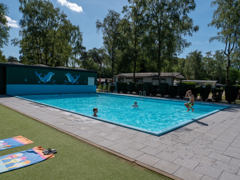 Niños jugando en la piscina exterior de Recreatiepark de Wrange en Gelderland, Países Bajos.