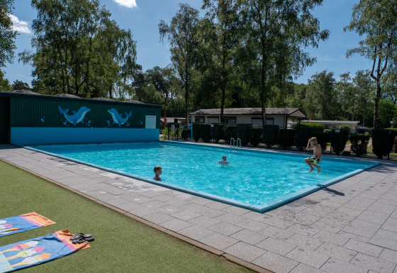 Udendørs swimmingpool med børn, der leger, ved Recreatiepark de Wrange i Gelderland, Holland.