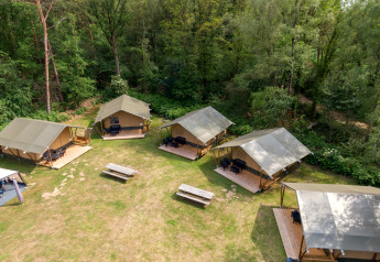Luftfoto af safari telte med egen terrasse og bænke på græs ved skoven i Recreatiepark de Wrange, Holland.