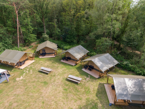 Aerial view of safari tents with private porches and benches in a forested area at Recreatiepark de Wrange.