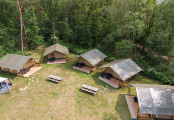 Luftfoto af safari telte med egen terrasse og bænke på græs ved skoven i Recreatiepark de Wrange, Holland.