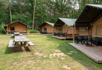 Safari tents with private decking and seating area at Recreatiepark de Wrange in the Netherlands.
