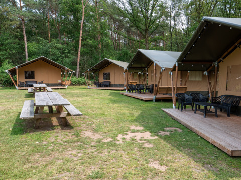 Safari-Zelte mit Terrasse und Sitzgelegenheiten im Recreatiepark de Wrange in den Niederlanden.