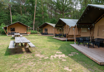 Safari telt med egen veranda og siddeområde på græsplæne i Recreatiepark de Wrange, Holland.