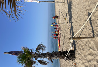 Strandszene im Camping del Mar, Katalonien, Spanien, mit Palme, Kajaks und Menschen in roter Kleidung.