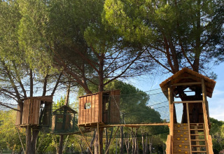 Case sugli alberi collegate da ponti di rete al Bi Village in Istria, Croazia, circondate da pini verdi.