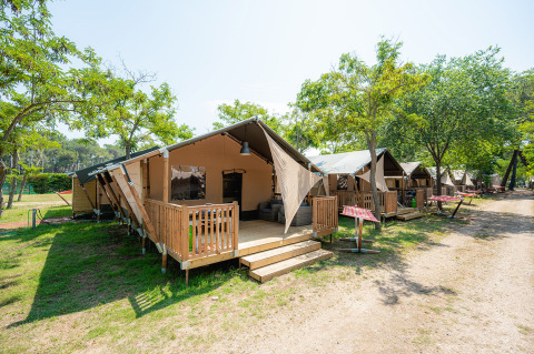 Glamping tents with wooden terraces in Bi Village holiday park, Istria, Croatia, surrounded by trees.