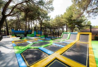 Outdoor trampoline park set among pine trees in Bi Village holiday park, Istria, Croatia, on a sunny day.