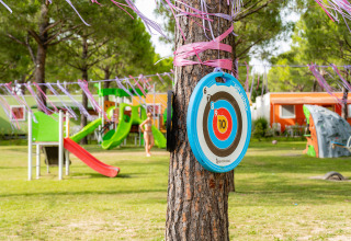 Spielplatz mit Rutsche, Kletterwand und Zielscheibe an einem Baum im Campeggio del Garda, Venetien.