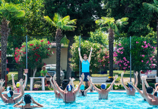 En gruppe mennesker laver vandgymnastik i en udendørs pool omgivet af palmer på Campeggio Gasparina i Veneto.