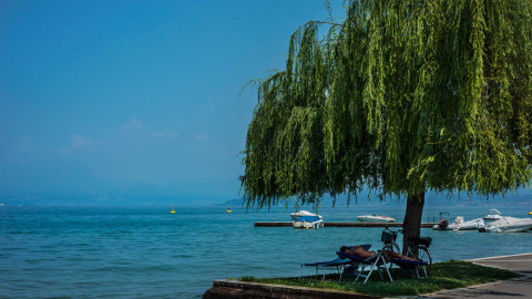 Día relajante junto al lago en Campeggio Gasparina, Véneto, Italia. Un hombre descansa bajo un árbol con barcos al fondo.