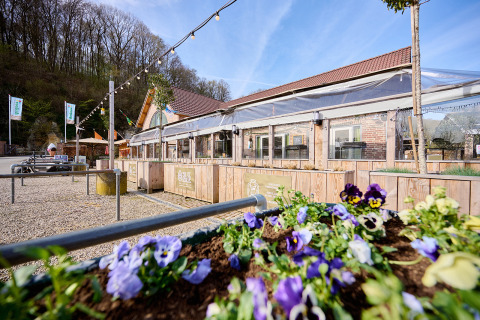Cama de flores y terraza en Camping 't Geuldal, parque vacacional en Limburg, Países Bajos, bajo cielo azul.