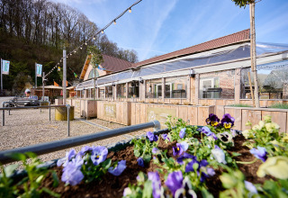 Bloemperk en terras bij Camping 't Geuldal vakantiepark in Limburg, Nederland, met bomen en blauwe lucht.