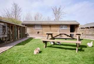 Picknicktisch, Kaninchen und Holzhütten auf dem Rasen im Ferienpark Camping 't Geuldal in Limburg, Niederlande.