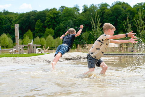 Twee jongens spelen en spetteren in het water op een camping omgeven door bomen in Limburg, Nederland.