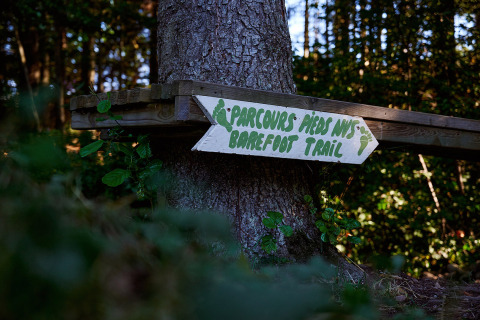 A sign reading 'Parcours pieds nus Barefoot Trail' attached to a tree in a forest at Camping Au Clos de La Chaume.