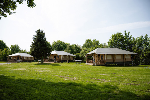 Moderne glamping telte på en grøn campingplads i solen ved Camping Borken am See, Nordrhein-Westfalen.
