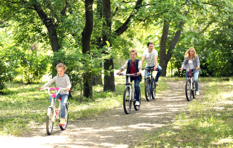 Una familia pasea en bicicleta por un sendero forestal en Camping Borken am See, Renania del Norte-Westfalia.