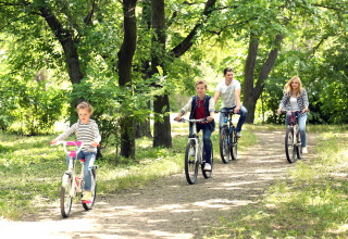 A family enjoys a bike ride together along a forest path at Camping Borken am See, North Rhine-Westphalia.
