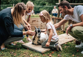 A family pets a goat outdoors at Camping Castel L'Orangerie de Lanniron, a holiday park in Brittany, France.