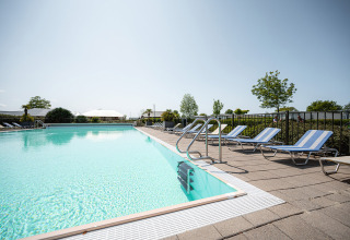 Udendørs swimmingpool med liggestole og parasoller på Camping de Molenhoek, en feriepark i Zeeland, Holland.