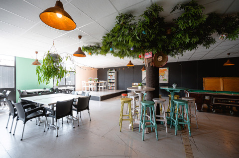Communal area at Camping de Molenhoek in Zeeland, Netherlands, featuring a decorative tree and seating.