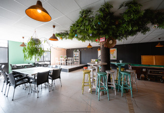 Zona común en Camping de Molenhoek en Zelanda, Países Bajos, con decoración de árbol y asientos.