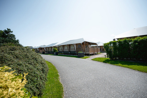Fila di tende safari di lusso lungo un sentiero con siepi verdi a Camping de Molenhoek, Zelanda, Paesi Bassi.