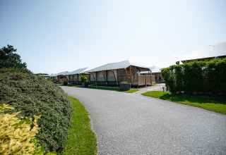 Row of luxury safari tents along a path with green hedges at Camping de Molenhoek, Zeeland, Netherlands.
