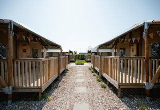 Træhytter med terrasser på Camping de Molenhoek-feriepark i Zeeland i Holland, under en klar himmel.