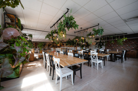 Salle à manger moderne et lumineuse avec tables en bois, chaises noires et blanches, et plantes suspendues à Camping de Molenhoek.