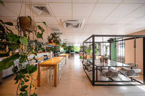 Cafetería moderna y luminosa en Camping de Molenhoek, Zeeland, con muchas plantas y asientos colgantes únicos.