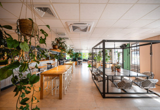 Lys, moderne café på Camping de Molenhoek i Zeeland med grønne planter og unikke gyngesæder omkring borde.