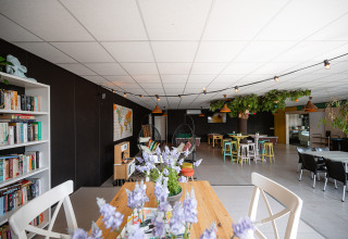 Bright communal lounge at Camping de Molenhoek, Zeeland, Netherlands, with bookshelves, plants, and decor.