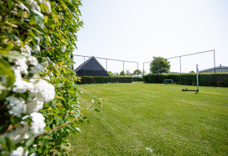 Sports field with grass and nets at Camping de Molenhoek holiday park, bordered by hedges, Zeeland, Netherlands.