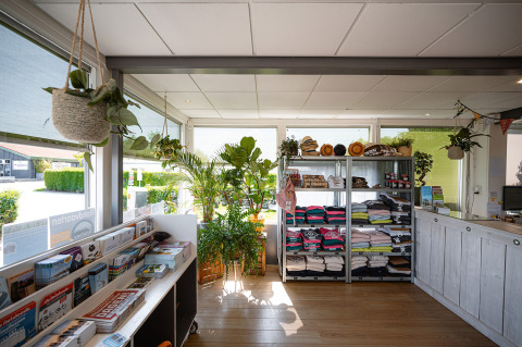 Rezeption von Camping de Molenhoek in Zeeland, Niederlande, mit Prospekten, Pflanzen und Souvenirs.