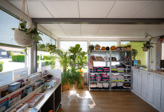 Receptionen på Camping de Molenhoek i Zeeland, Nederlandene, med brochurer, planter og souvenirs.