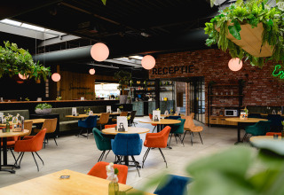 Modern restaurant interior at Camping de Schatberg in Limburg, Netherlands, with colorful chairs and plants.