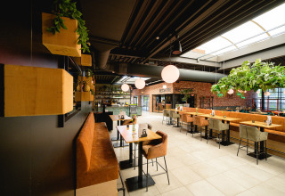 Moderne restaurantinteriør med grønne planter og store vinduer på Camping de Schatberg i Limburg, Holland.