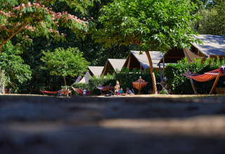 Teltcamping med hængekøjer og træer på Camping Domaine du Logis i Bretagne, Frankrig om sommeren.