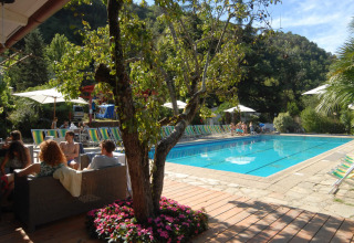Area piscina all'aperto con ospiti, lettini e ombrelloni circondata dal verde al Camping Delle Rose.